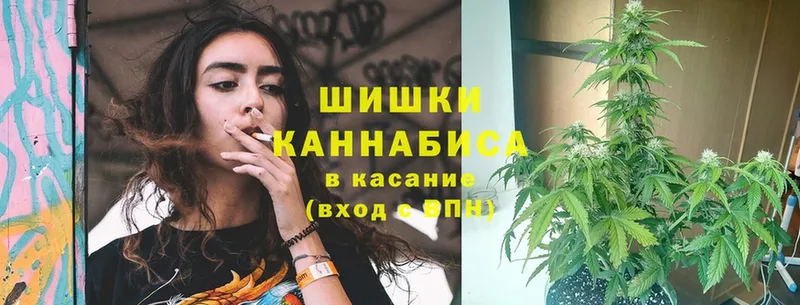 darknet состав  мега   Курск  МАРИХУАНА марихуана 